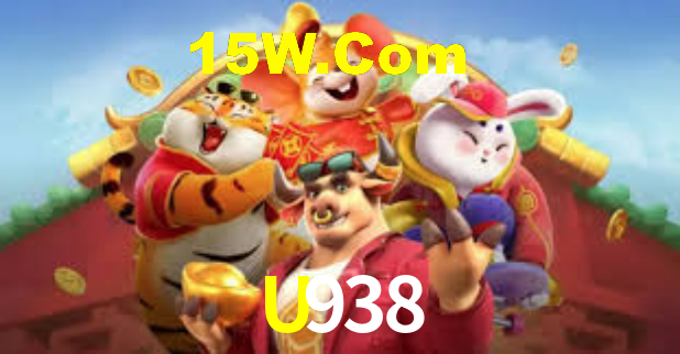 U938 - Installation Guide